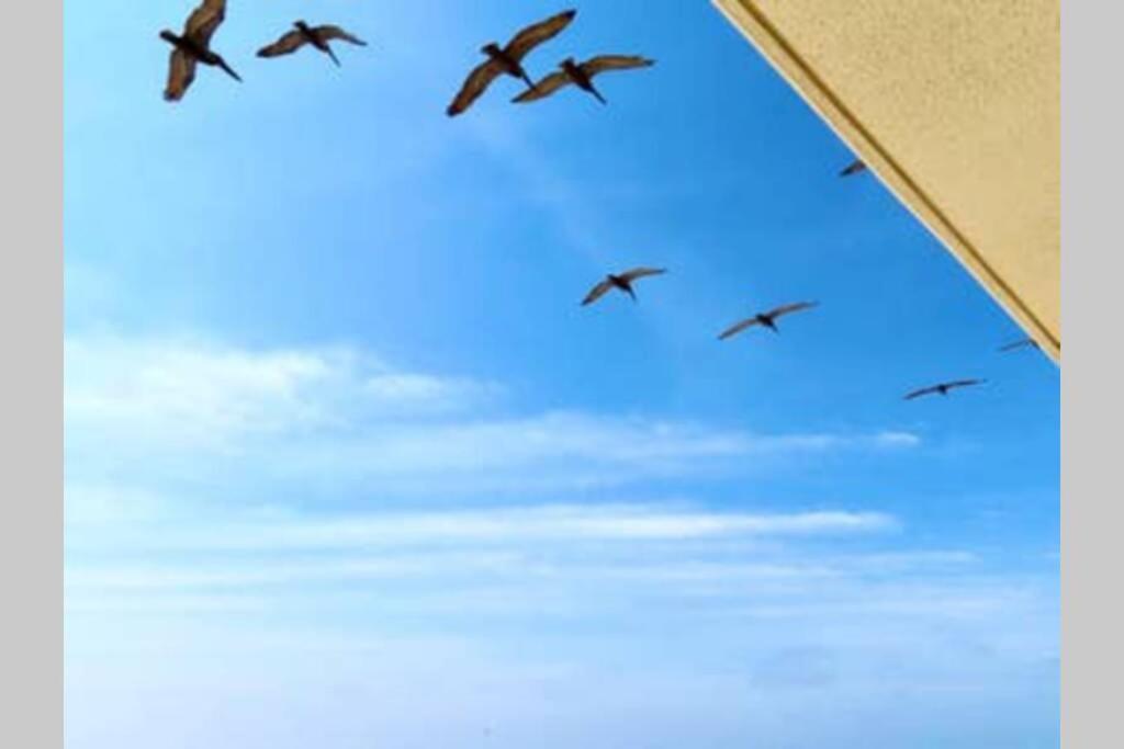 Beach Front 18Th Flr, Best Ocean View, New Upgrades Destin Ngoại thất bức ảnh